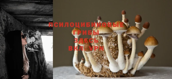 ПСИЛОЦИБИНОВЫЕ ГРИБЫ Богородск