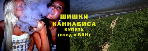 шишки Бугульма