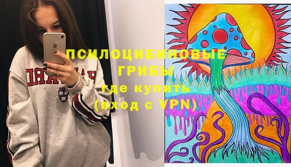 бошки Богданович