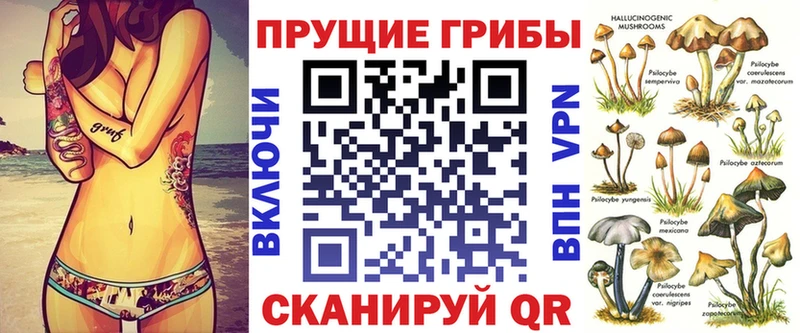 Псилоцибиновые грибы GOLDEN TEACHER Киселёвск