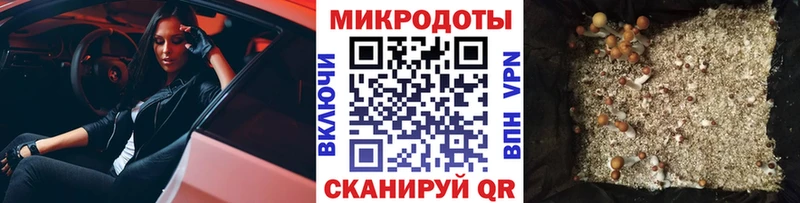 Псилоцибиновые грибы мицелий  OMG   Киселёвск 