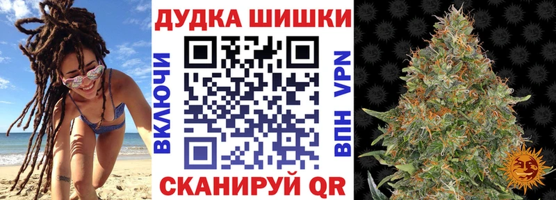 Бошки Шишки ГИДРОПОН  Киселёвск 